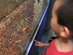 -上海昆虫博物馆