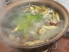 -威邵鸡煲(西华路总店)