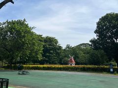 -东莞植物园