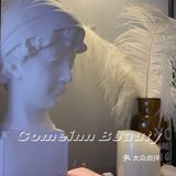 变身睫毛精 | 能让素颜加十分的秘密武器→自然款卷翘睫毛