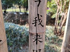 -西安祥峪森林公园
