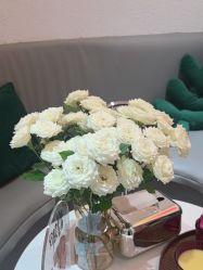 -薇薇安花系SPA