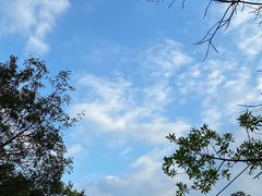 -水濂山森林公园