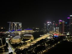 -新加坡瑞士史丹福酒店