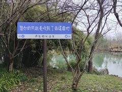 -西溪国家湿地公园