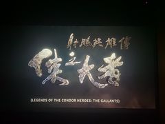 -华美国际影城(旧宫永辉店)