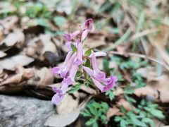 -宁波市保国寺古建筑博物馆