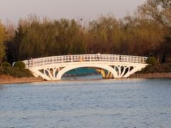 -大兴滨河森林公园