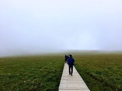 -芦芽山旅游度假区