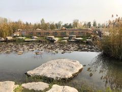 -泗洪洪泽湖湿地景区