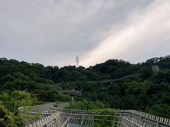 -福道