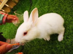 -萌宠亲子动物乐园(槐房万达店)