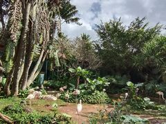 -海南热带野生动植物园