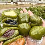 咬一口春天！糯叽叽的好绝啊！