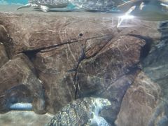 -福州罗源湾海洋世界旅游区