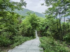 -桃花岭景区
