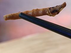 -胡仕光陵水酸粉