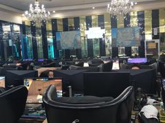 -绿树电竞(五路店)