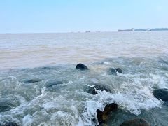 -上海吴淞炮台湾国家湿地公园