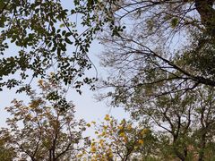 -广州珠江公园