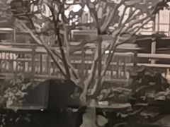 -明瓦廊小区