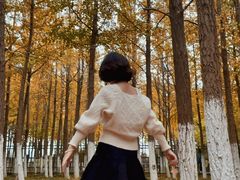 -艾溪湖湿地公园