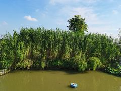 -樂桃源奉贤黄桃种植采摘基地