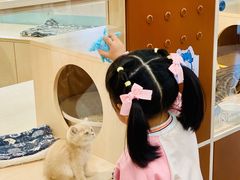 -首开·龙湖成都西宸天街