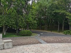 -苏州金鸡湖大酒店