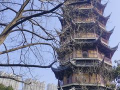 -红梅公园