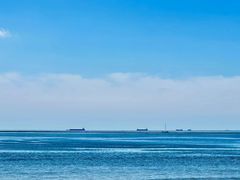 -北戴河转鱼·炒螃蟹酱餐厅