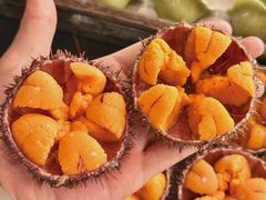 -连鹭海鲜·海肠捞饭·海胆饭(星海店)