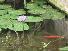 -国家植物园南园