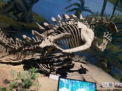 -自贡恐龙博物馆
