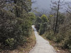 -桃花岭景区