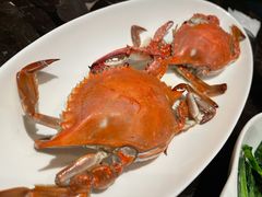 -高佳庄·海鲜酒楼(东港店)