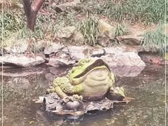 -杭州少年儿童公园