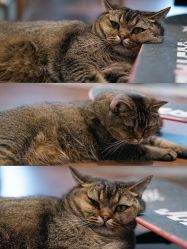 -优刻西服西装定制(金轮国际广场店)