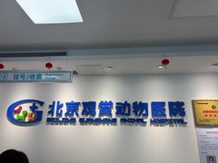 -北京观赏动物医院·24小时大型综合·猫专科·异宠专科