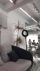 -COMO SALON 烫染可茉发型