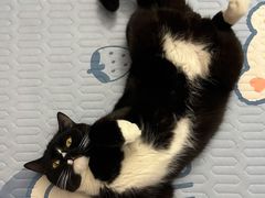 -达爱动物医院·犬猫分区·CT·复杂眼科(远洋山水分院)