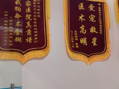 -小伙伴宠物医院•急重症转诊中心·老年专科·犬猫全科(北大街总院)