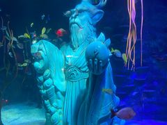 -沈阳海洋探索中心