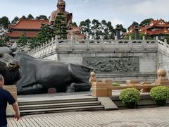-广东圆玄道观