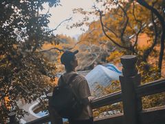 -普陀山风景区-佛顶山