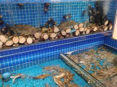 水产区-乔哥铭洋海鲜自助(皇城恒隆广场店)