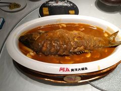 -阿五黄河大鲤鱼(英协路店)