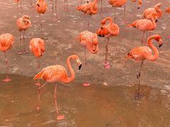 -鄂尔多斯野生动物园