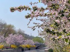 -元大都城垣遗址公园