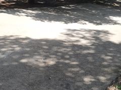 -四海烤鸭城